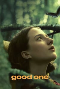 Poster for the movie "Good One"